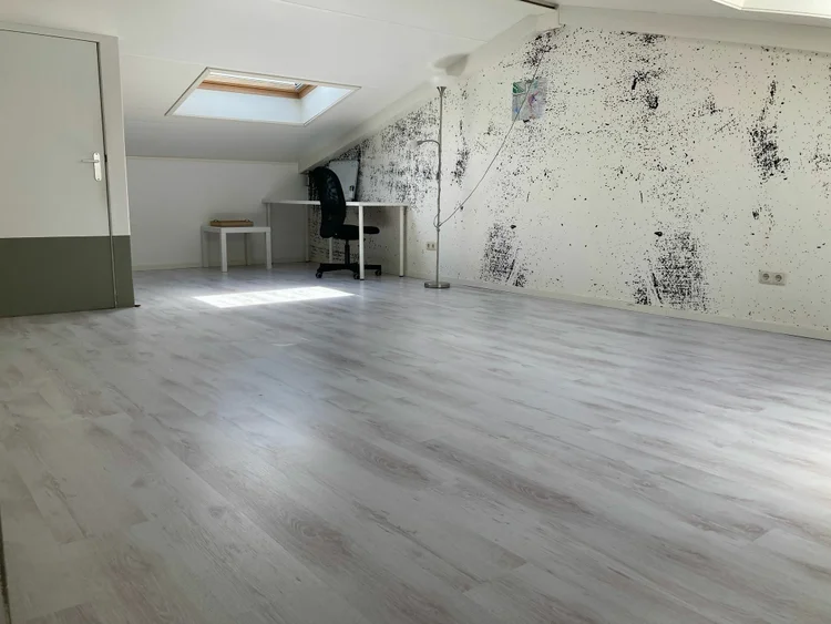 Rental property 2