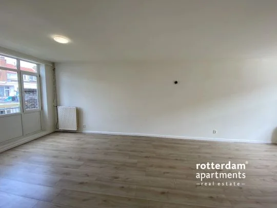 Rental property 2