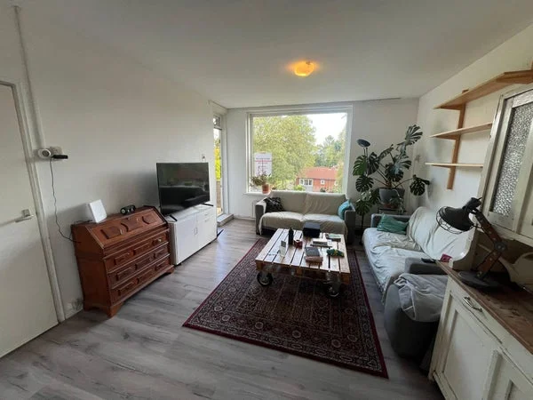 Rental property 2
