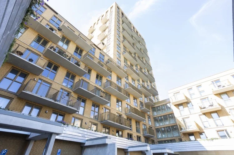 Rental property 2