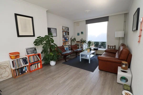 Rental property 2