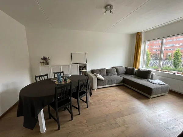 Rental property 2