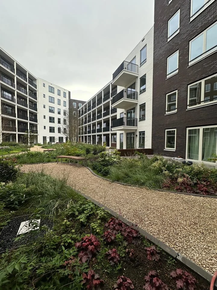 Rental property 2