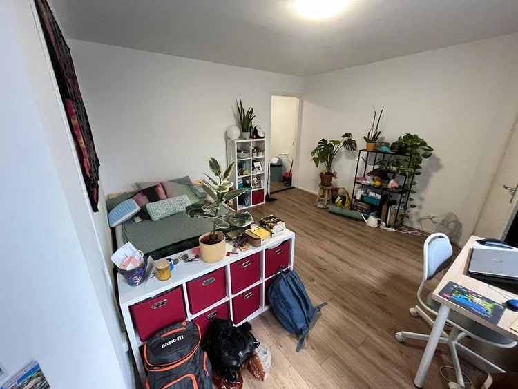 Rental property 2