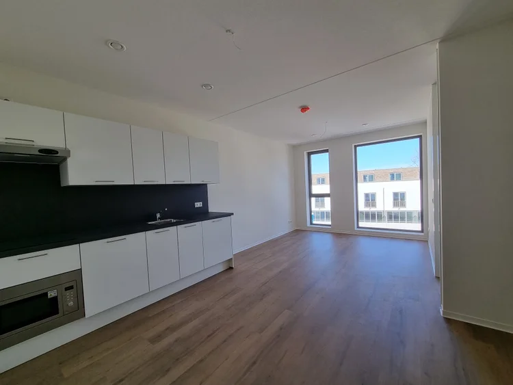 Rental property 2