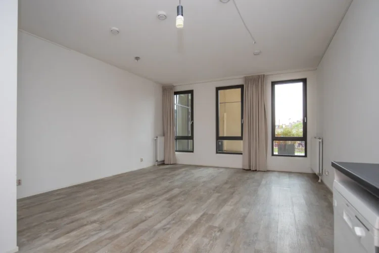 Rental property 2