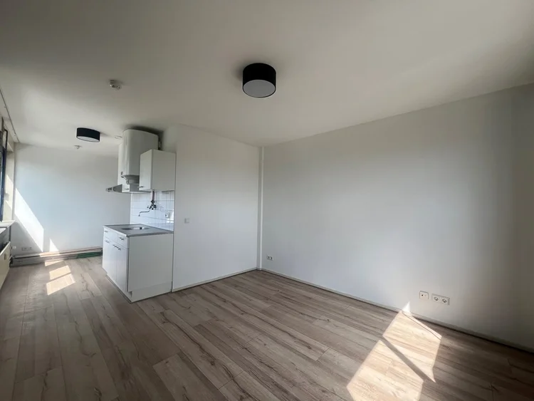 Rental property 2