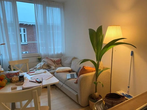 Rental property 2