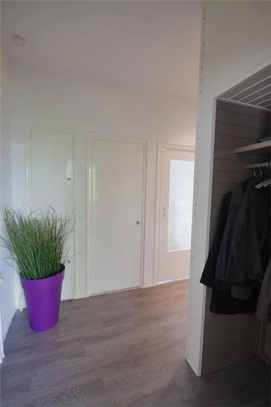 Rental property 2