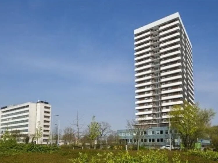 Rental property 2