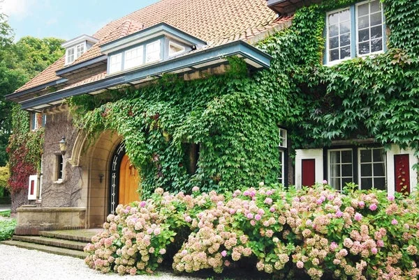 Rental property 2