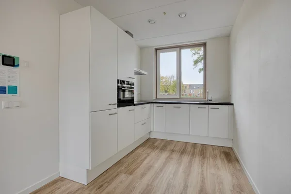 Rental property 2