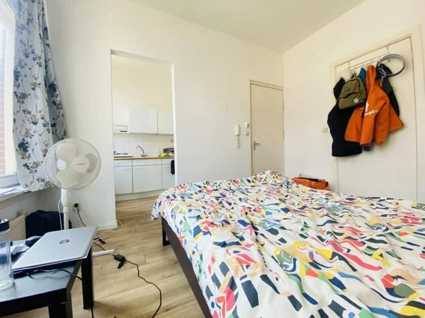 Rental property 2