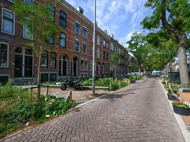 Rental property 2