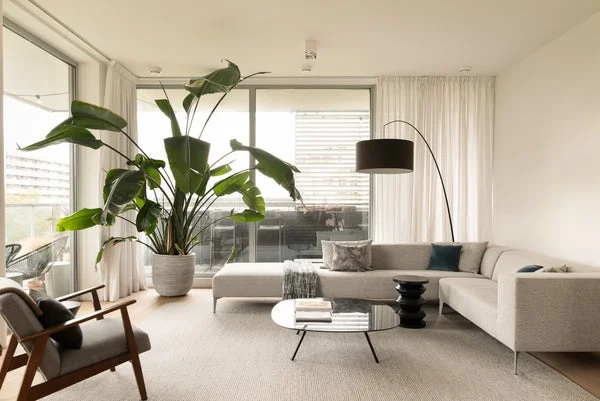Rental property 2