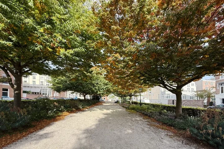 Rental property 2