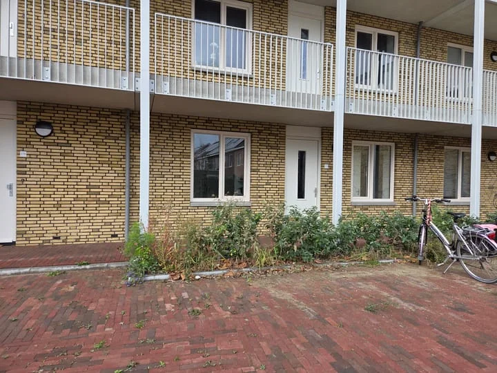 Rental property 2