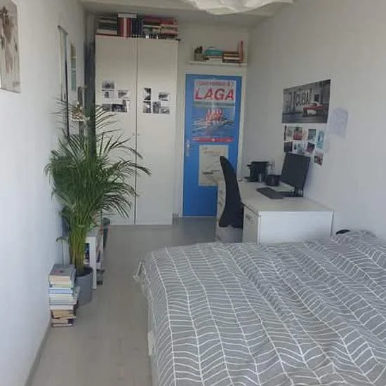 Rental property 2