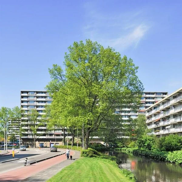 Rental property 2