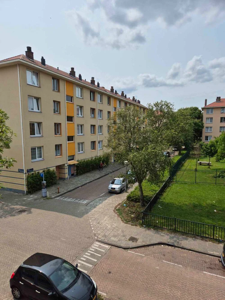 Rental property 2