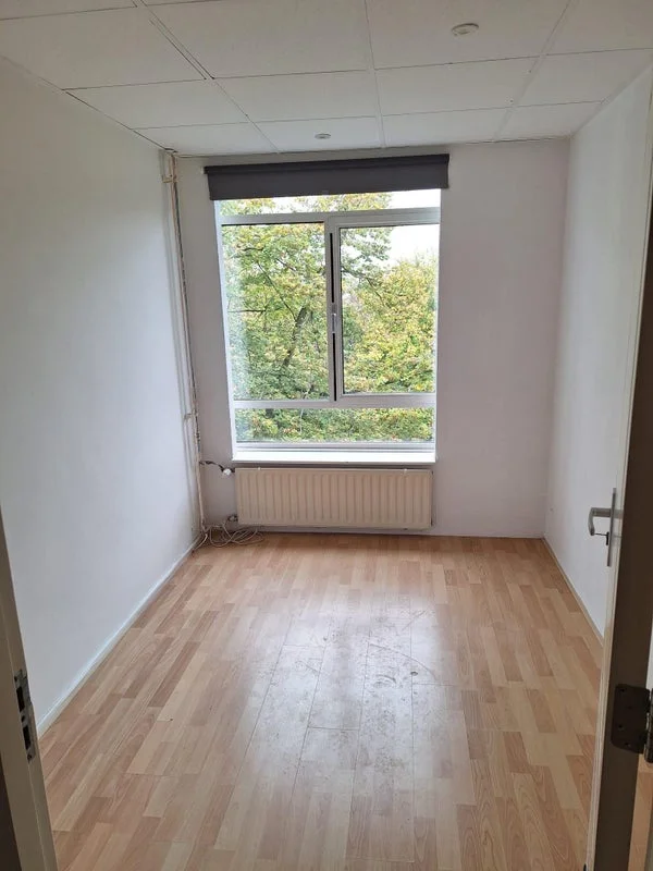 Rental property 2