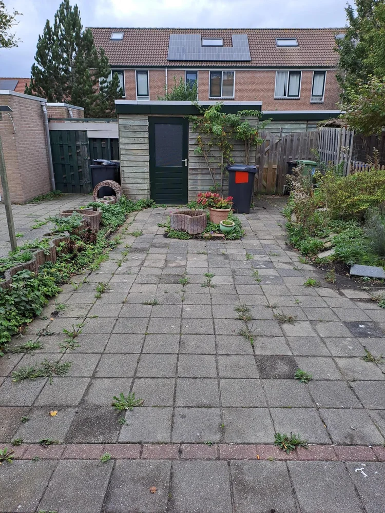 Rental property 2