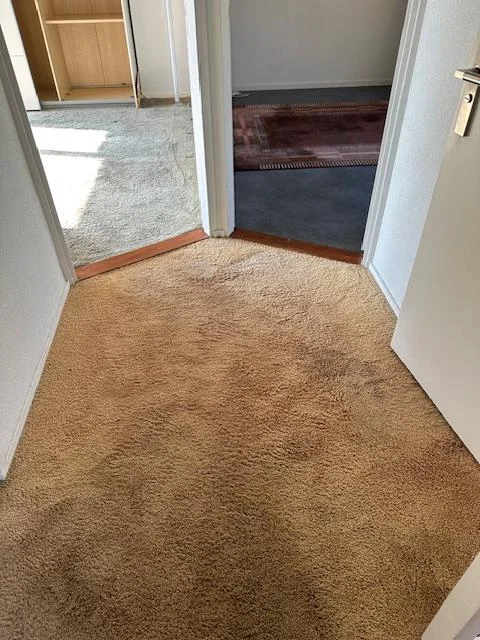 Rental property 2