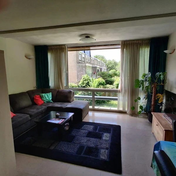 Rental property 2