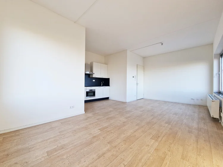Rental property 2