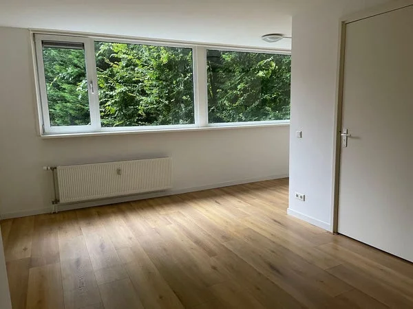 Rental property 2