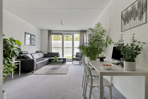 Rental property 2