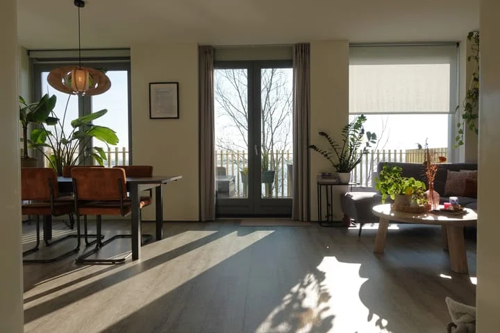 Rental property 2
