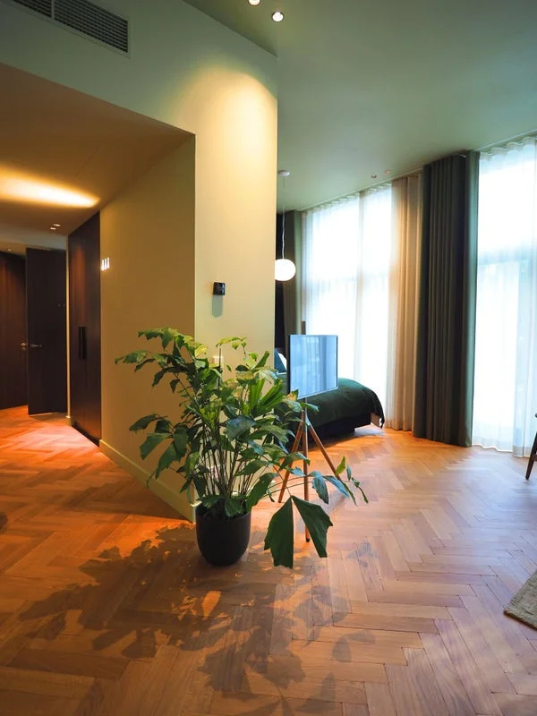 Rental property 2