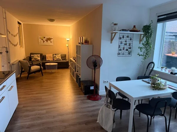 Rental property 2