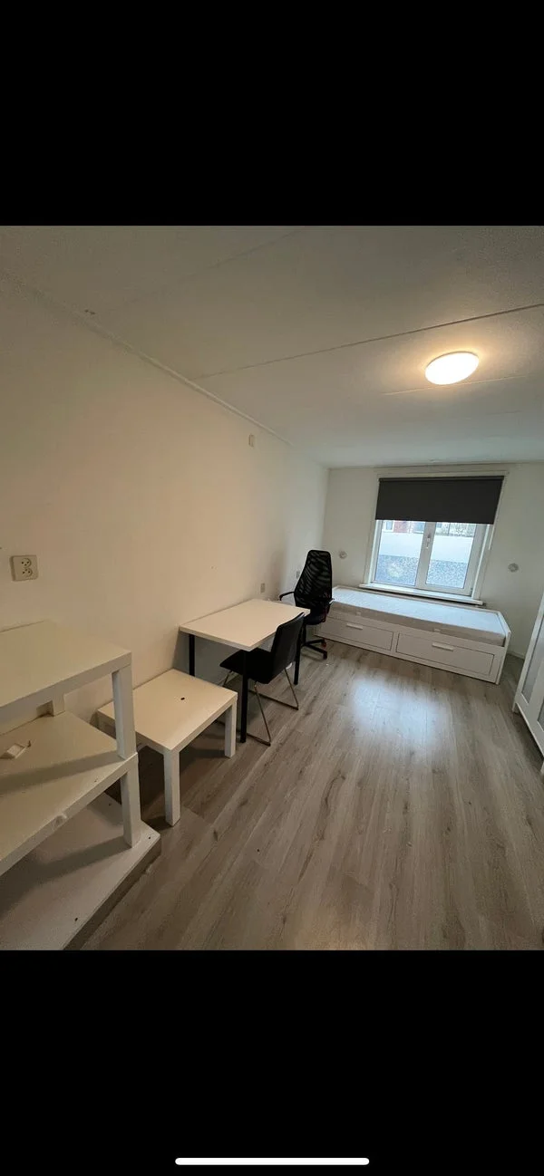 Rental property 2