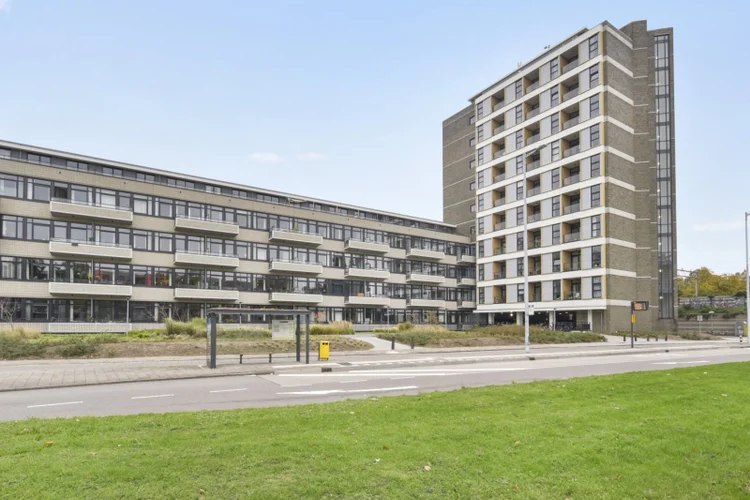 Rental property 2