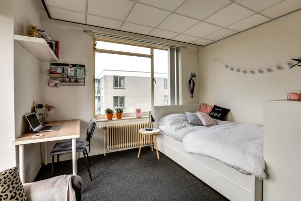Rental property 3