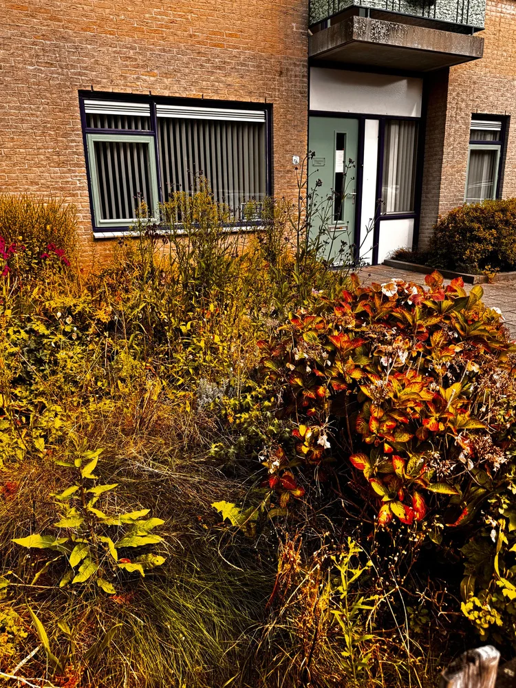 Rental property 3
