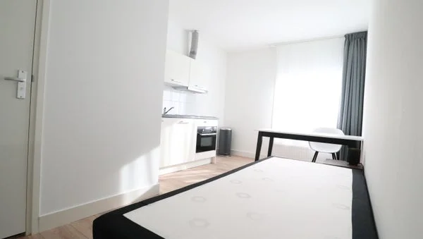 Rental property 3