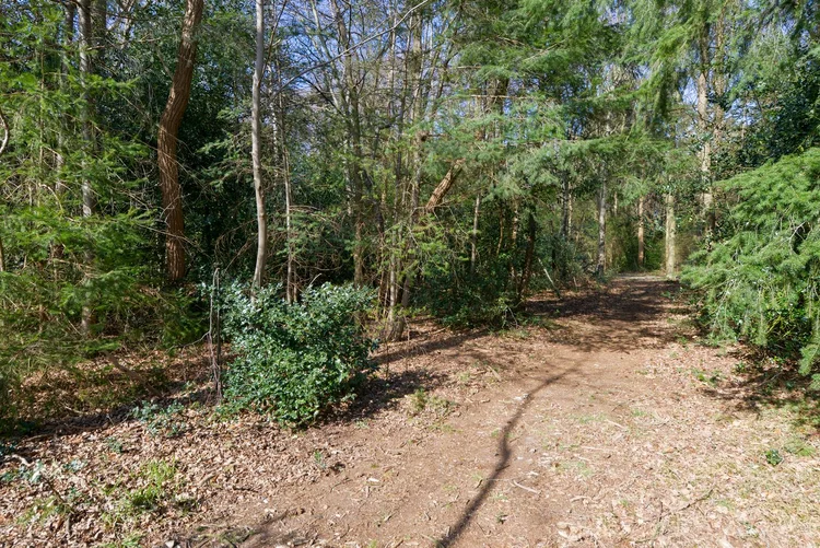 Rental property 3