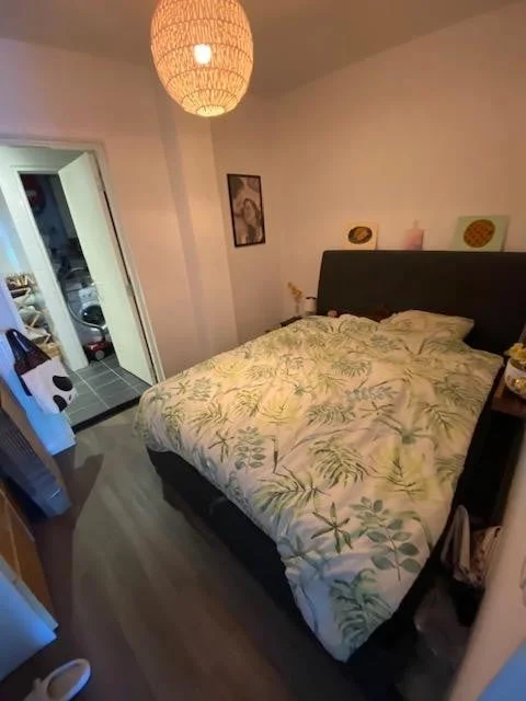 Rental property 3