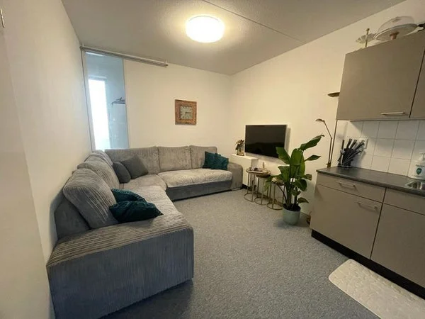 Rental property 3