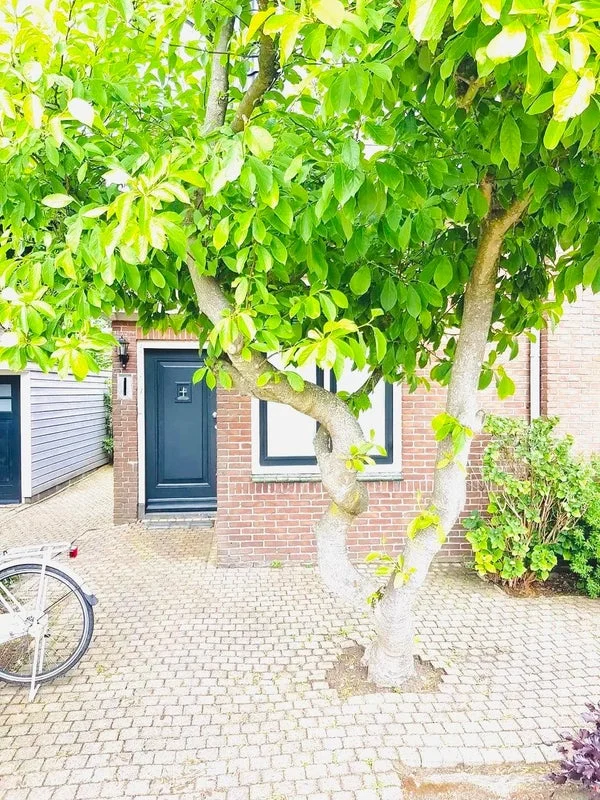 Rental property 3
