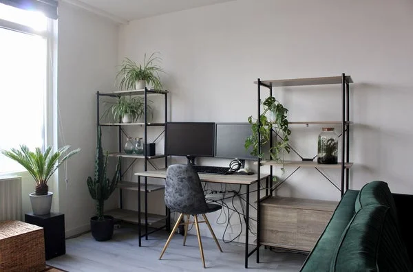 Rental property 3