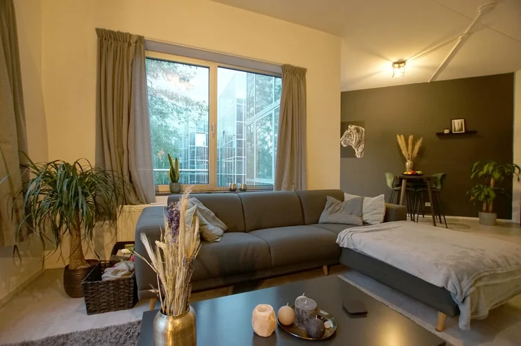 Rental property 3