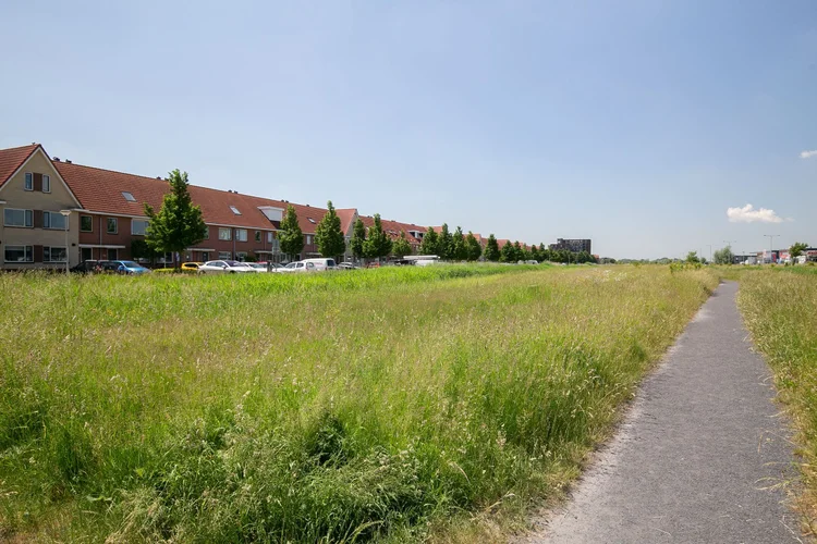 Rental property 3