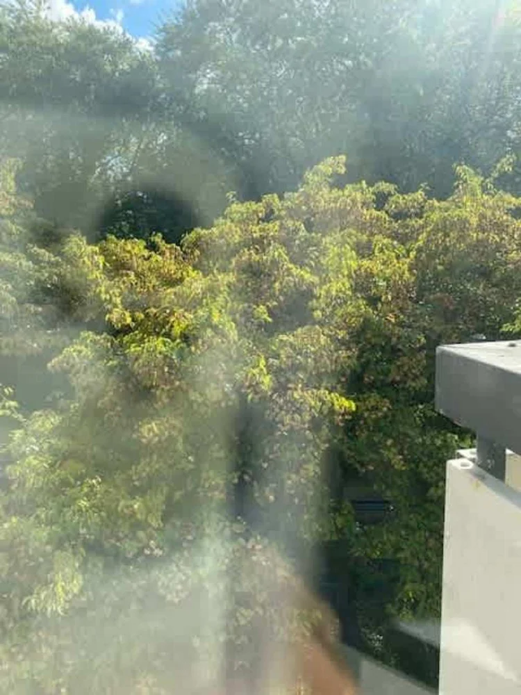 Rental property 3
