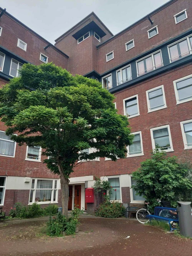 Rental property 3