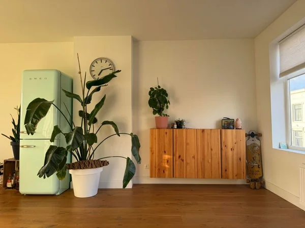 Rental property 3