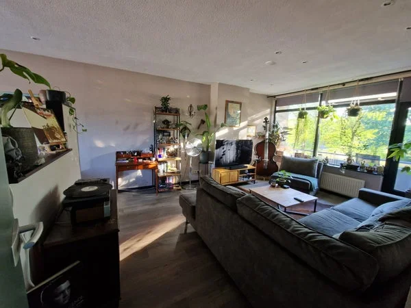 Rental property 3